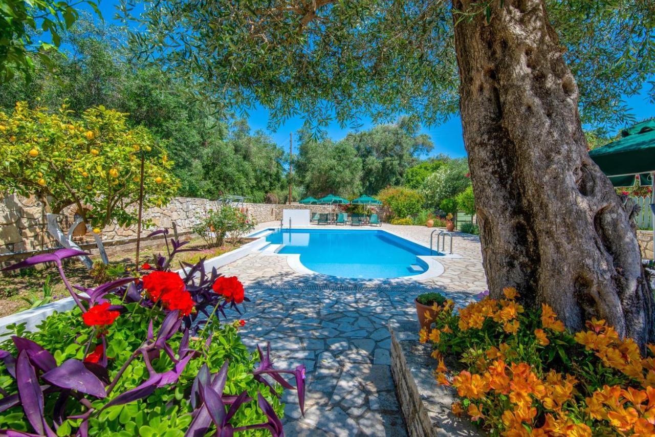 Livadi Studios With Pool Лакка Екстер'єр фото